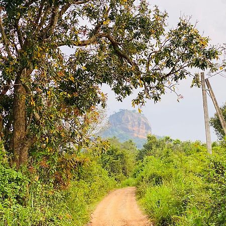 Hotel Sigiriya Kele Eksteriør billede