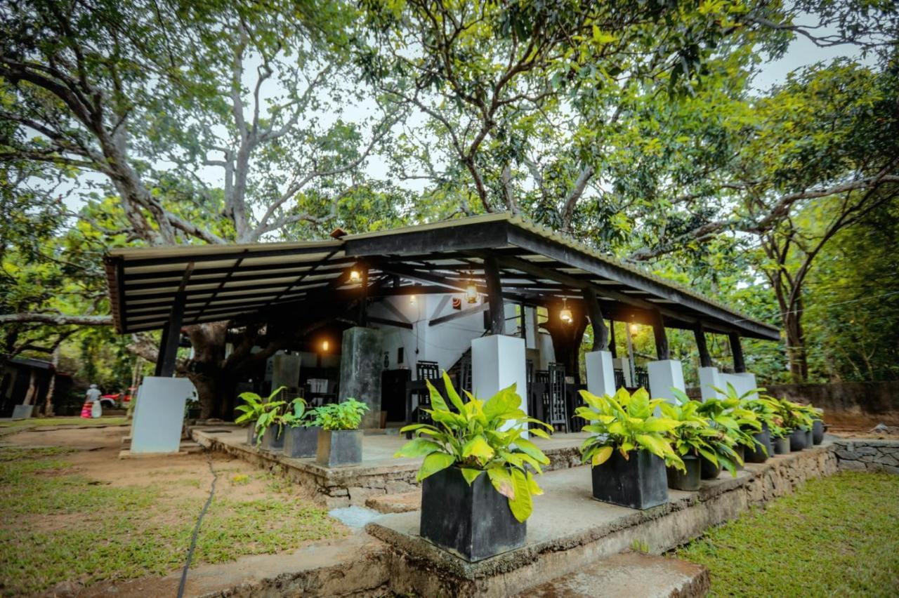 Hotel Sigiriya Kele Eksteriør billede