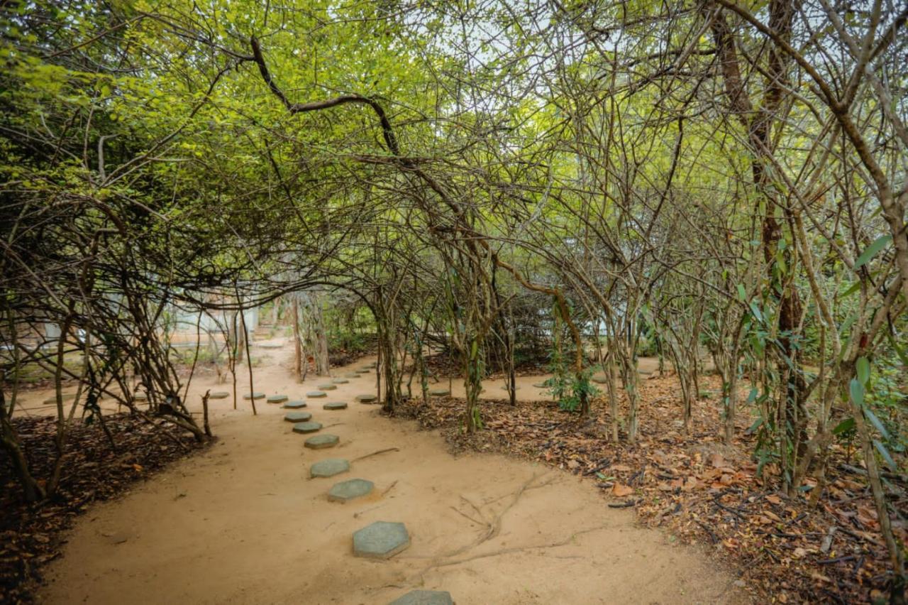 Hotel Sigiriya Kele Eksteriør billede