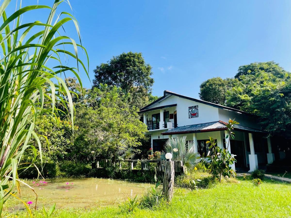 Hotel Sigiriya Kele Eksteriør billede