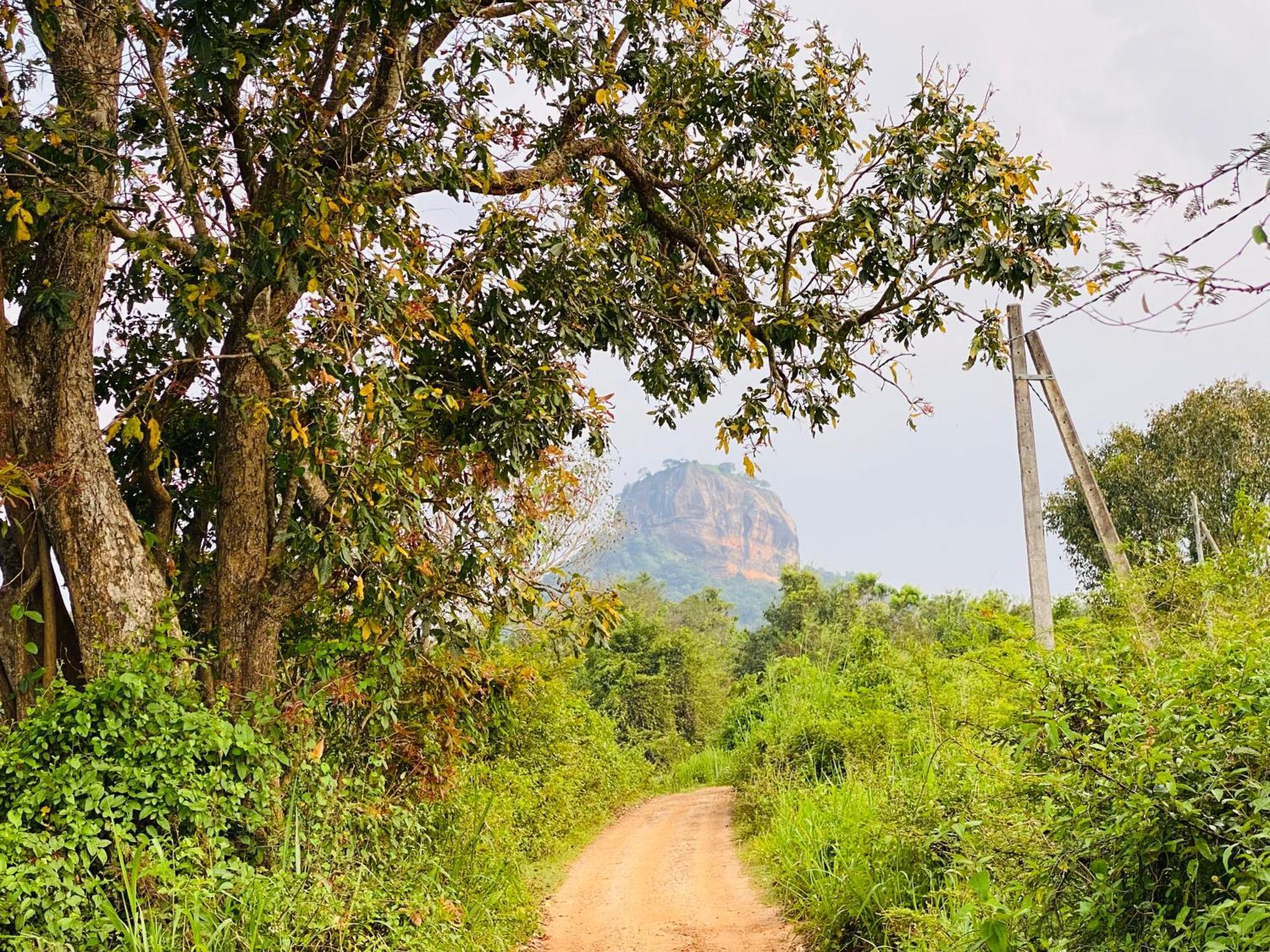 Hotel Sigiriya Kele Eksteriør billede