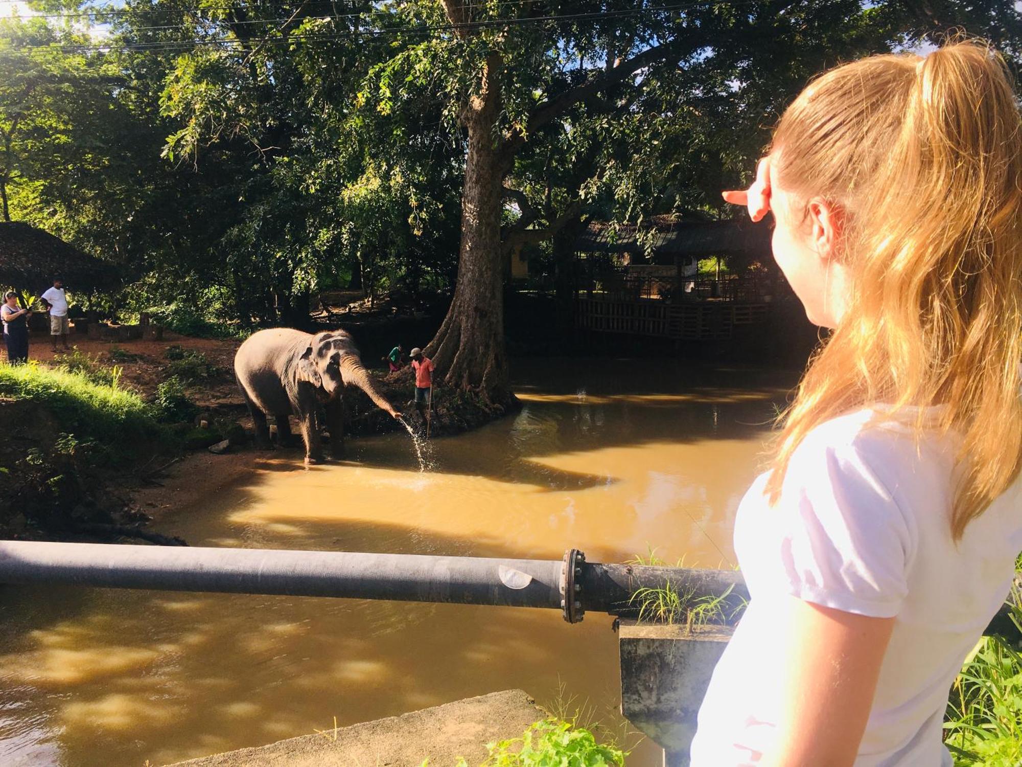 Hotel Sigiriya Kele Eksteriør billede